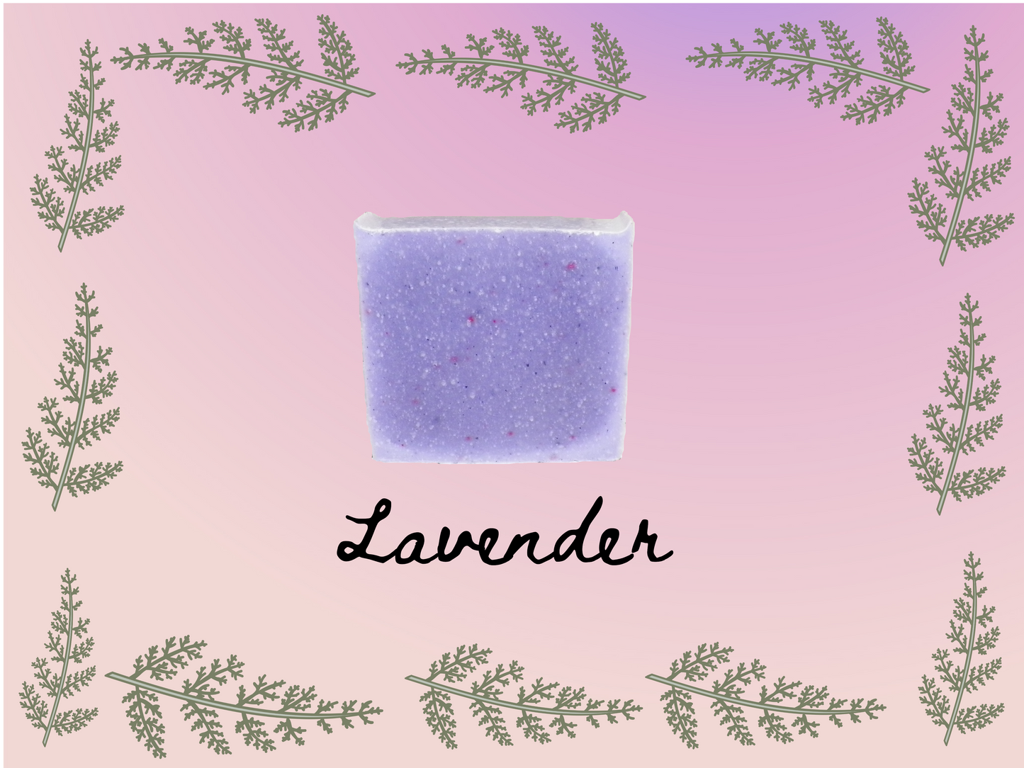 Lavender